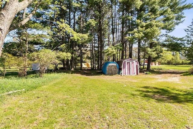 412 W Chestnut St, Pardeeville, WI 53954 - view of green lawn with a storage shed and an outbuilding