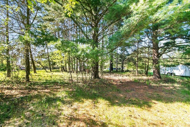 412 W Chestnut St, Pardeeville, WI 53954 - view of nature