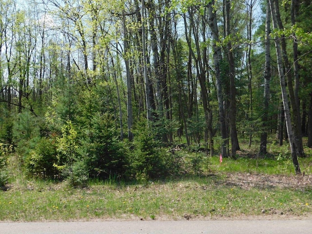 E Reed St, Wittenberg, WI 54499