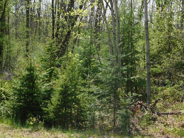 E Reed St, Wittenberg, WI 54499