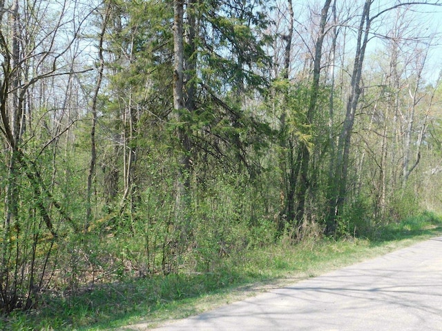 E Reed St, Wittenberg, WI 54499