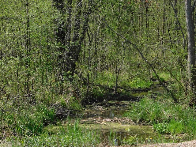 E Reed St, Wittenberg, WI 54499