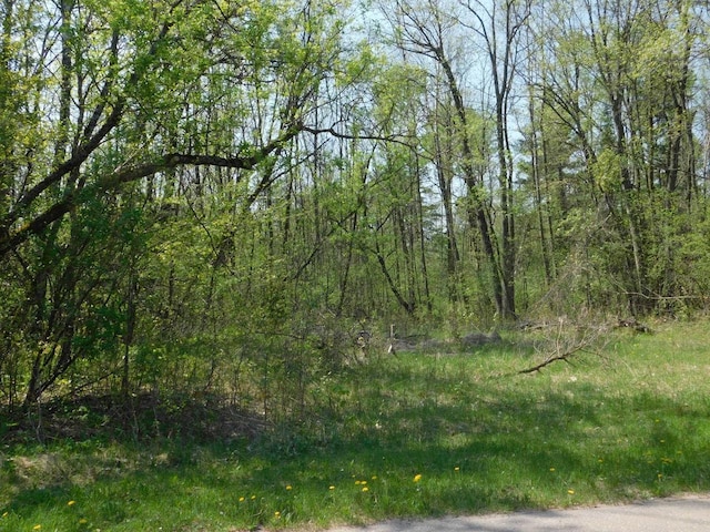 E Reed St, Wittenberg, WI 54499