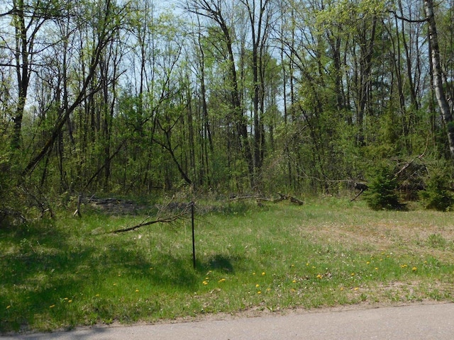 E Reed St, Wittenberg, WI 54499