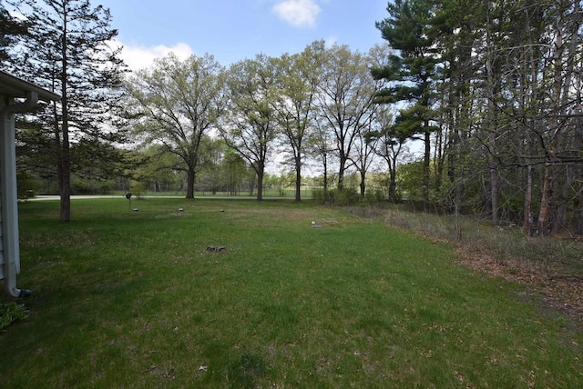 1118 E Pearl St, Neshkoro, WI 54960 - view of green lawn