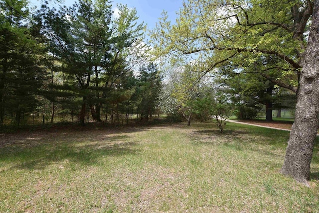 1118 E Pearl St, Neshkoro, WI 54960 - view of yard