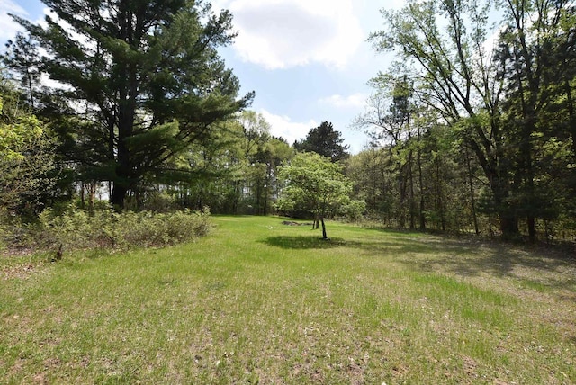 1118 E Pearl St, Neshkoro, WI 54960 - view of green lawn with a view of trees
