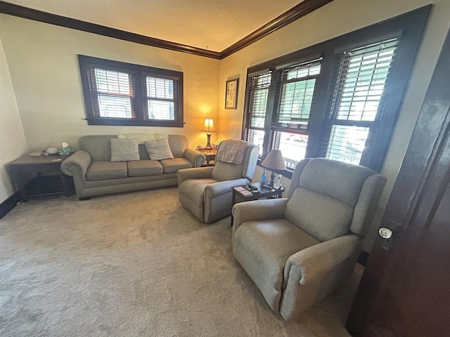 living room featuring crown molding and carpet floors