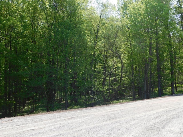 LT0 N Meisner St, Wittenberg, WI 54499