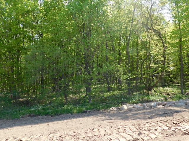 LT0 N Meisner St, Wittenberg, WI 54499