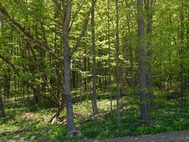 LT0 N Meisner St, Wittenberg, WI 54499