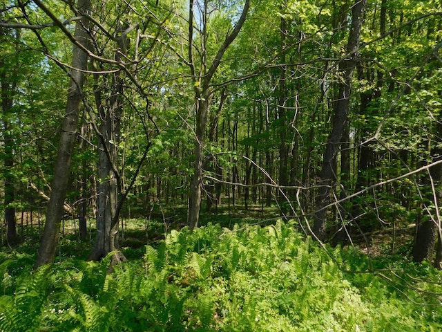 LT0 N Meisner St, Wittenberg, WI 54499