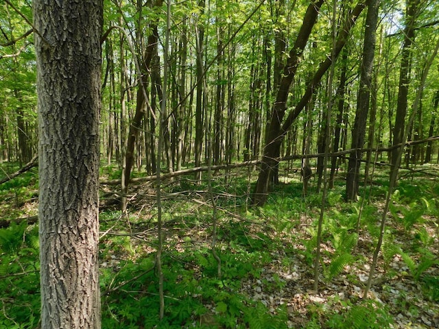 LT0 N Meisner St, Wittenberg, WI 54499