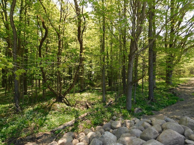 LT0 N Meisner St, Wittenberg, WI 54499