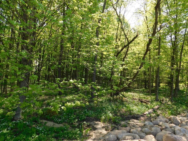 LT0 N Meisner St, Wittenberg, WI 54499