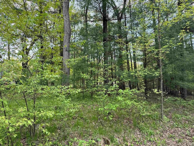 140 Ridge Dr, Lake Delton, WI 53965