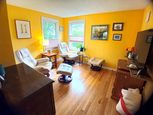 5449 Old Middleton Rd, Madison, WI 53705 - living area featuring light wood-style flooring and baseboards