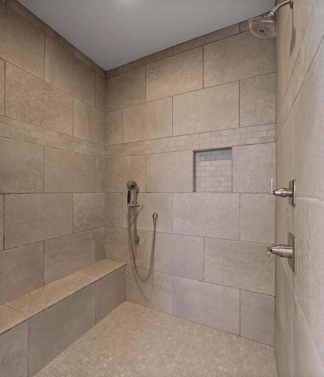 1387 Wilmington Way Unit 3-34, Lake Geneva, WI 53147 - bathroom featuring tiled shower