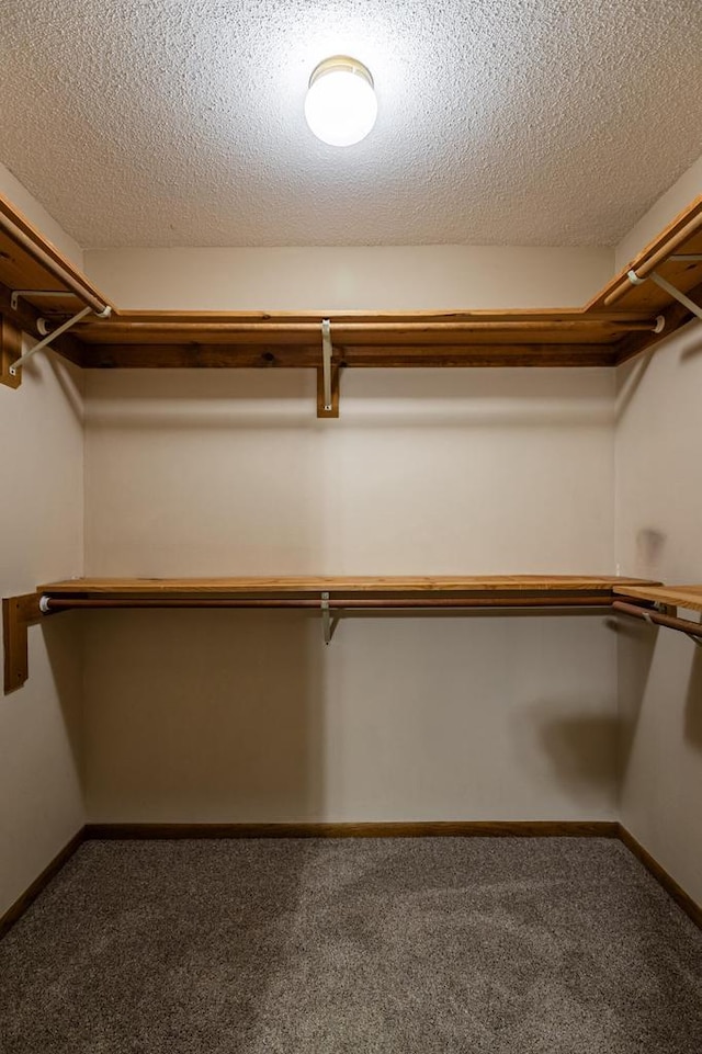 walk in closet with carpet flooring