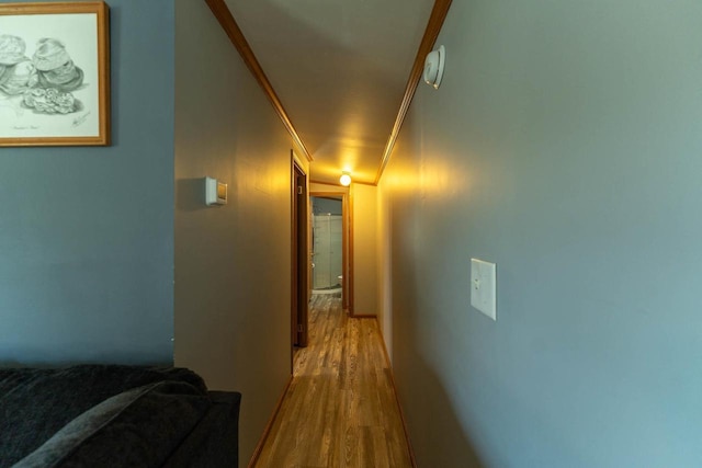 277 James St, Tomah, WI 54660 - hall with wood finished floors and crown molding