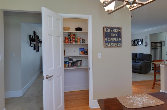 view of pantry
