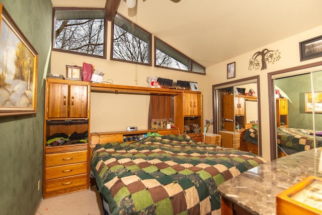 1031 N Osborne Blvd, Racine, WI 53405 - bedroom featuring carpet, high vaulted ceiling, and multiple closets
