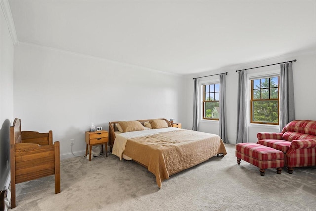 N39W32890 High Hill Ct, Nashotah, WI 53058 - bedroom with light colored carpet and crown molding