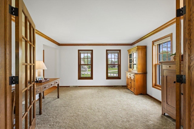 N39W32890 High Hill Ct, Nashotah, WI 53058 - office featuring light carpet, plenty of natural light, baseboards, and crown molding