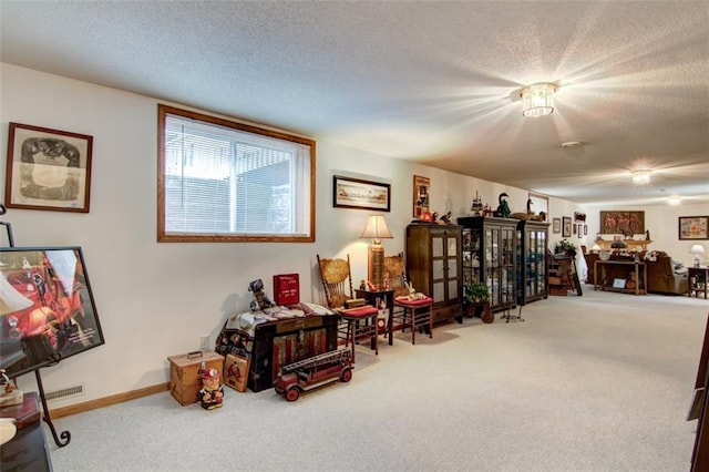 3329 E Meadows Pl, Eau Claire, WI 54701 - living area with carpet flooring, a textured ceiling, and baseboards