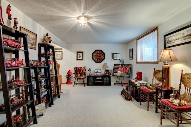 3329 E Meadows Pl, Eau Claire, WI 54701 - living area featuring carpet and a textured ceiling