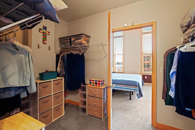 1325 N Van Buren St Unit 308, Milwaukee, WI 53202 - walk in closet with carpet flooring