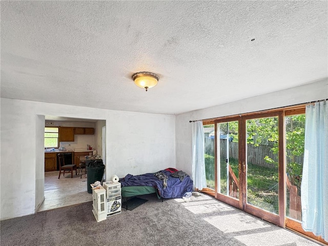438 N Washington St, Saint Croix Falls, WI 54024 - carpeted bedroom with a textured ceiling