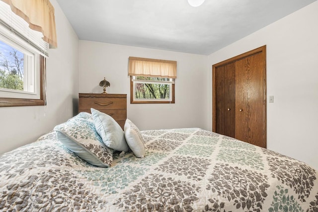 7256 State Highway 66, Custer, WI 54423 - bedroom with multiple windows and a closet