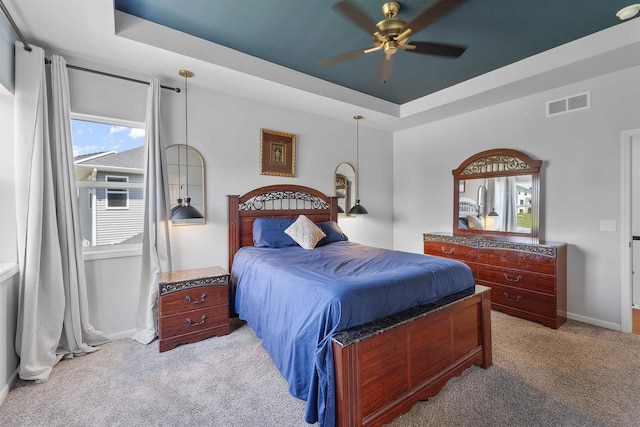432 Tawny Elm Pkwy, Verona, WI 53593 - bedroom with carpet floors, a raised ceiling, and baseboards