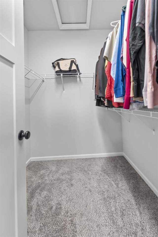 432 Tawny Elm Pkwy, Verona, WI 53593 - walk in closet featuring attic access and carpet flooring