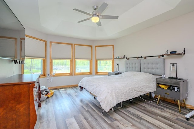 175545 Willow Ln, Ringle, WI 54440 - bedroom with a tray ceiling, wood finished floors, baseboards, and ceiling fan