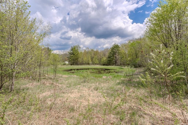 175545 Willow Ln, Ringle, WI 54440 - view of wooded area