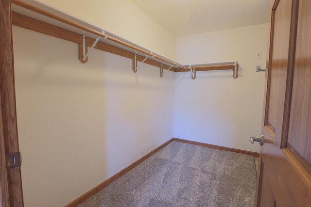 6313 43rd St Unit 162, Kenosha, WI 53144 - spacious closet with carpet floors
