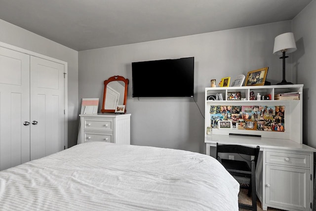 1397 Lear Ln, De Pere, WI 54115 - bedroom with a closet
