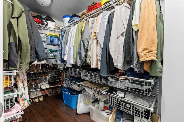 1397 Lear Ln, De Pere, WI 54115 - walk in closet featuring wood finished floors
