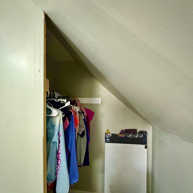 2664 N Booth St, Milwaukee, WI 53212 - walk in closet with lofted ceiling
