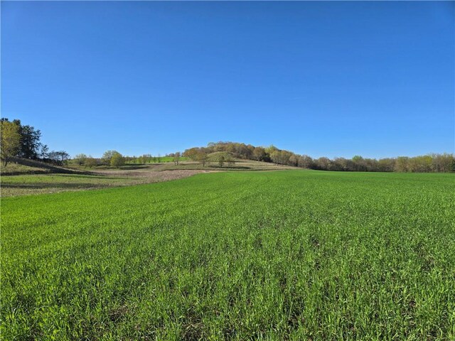 16.74ACRES County Rd N, Wheeler, WI 54772