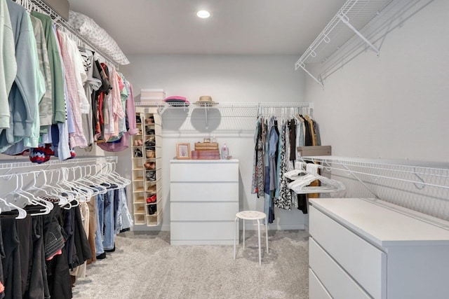 view of walk in closet