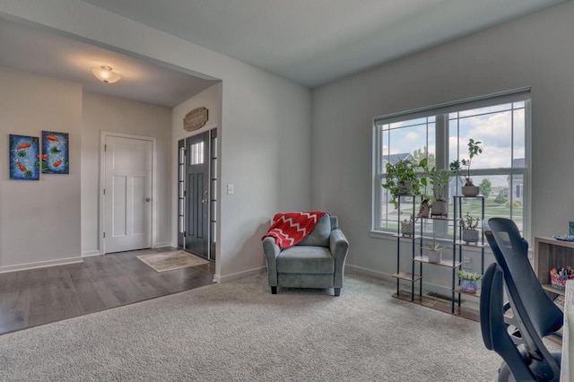 carpeted home office with baseboards and wood finished floors
