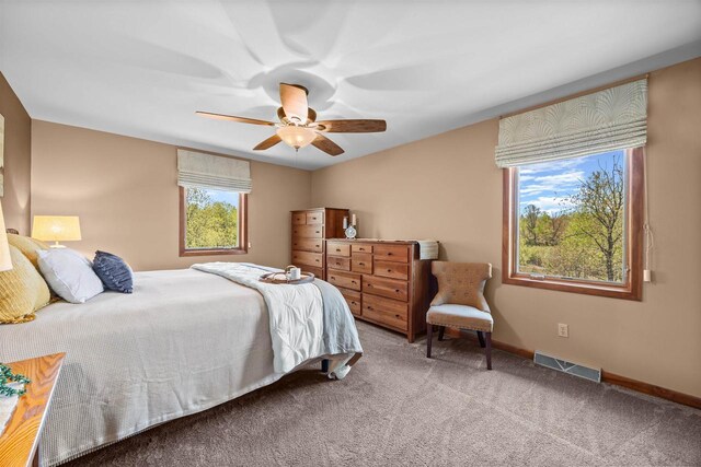 169003 Shorewood Dr, Rosholt, WI 54473 - carpeted bedroom featuring multiple windows, ceiling fan, and baseboards