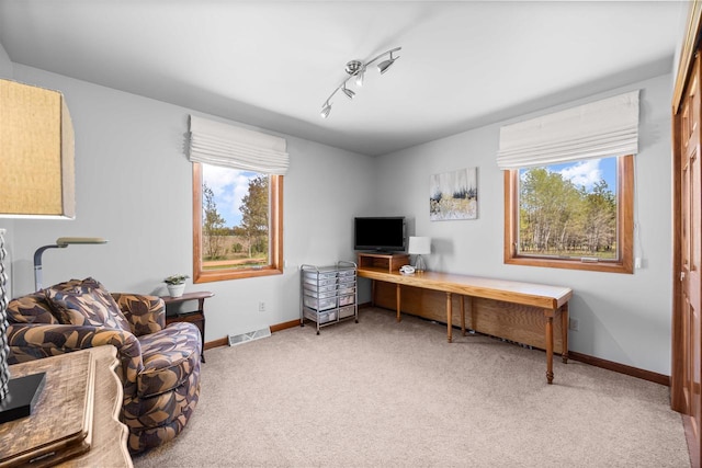 169003 Shorewood Dr, Rosholt, WI 54473 - office featuring light colored carpet, baseboards, and rail lighting