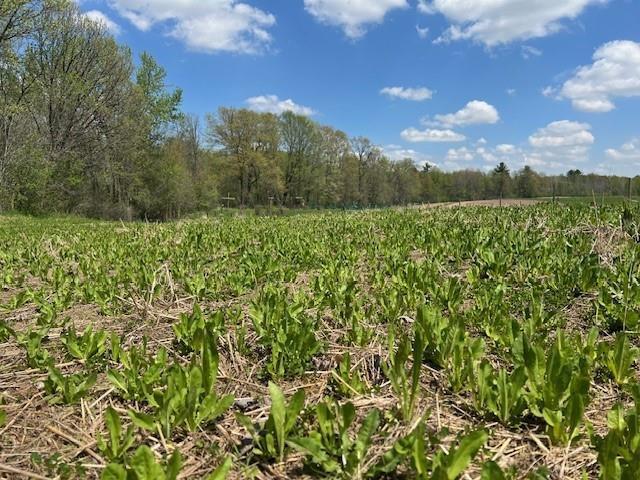 11972 Worden Rd, Stanley, WI 54768