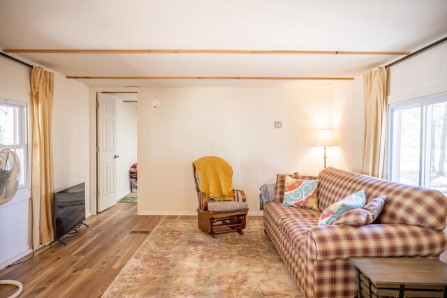 984 E Trout Valley Rd, Friendship, WI 54646 - living area featuring wood finished floors
