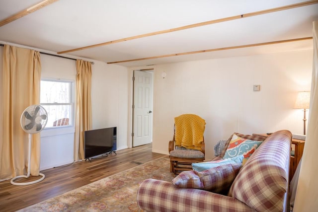 984 E Trout Valley Rd, Friendship, WI 54646 - living area featuring wood finished floors