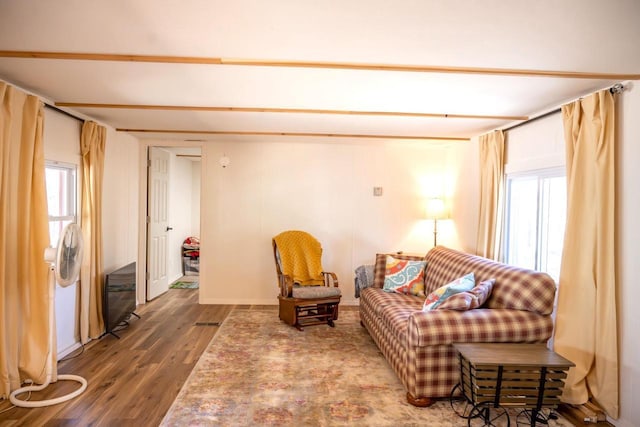 984 E Trout Valley Rd, Friendship, WI 54646 - living area with wood finished floors